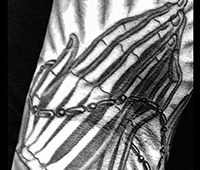 tatuaje en blanco y negro en los brazos: manos de hueso